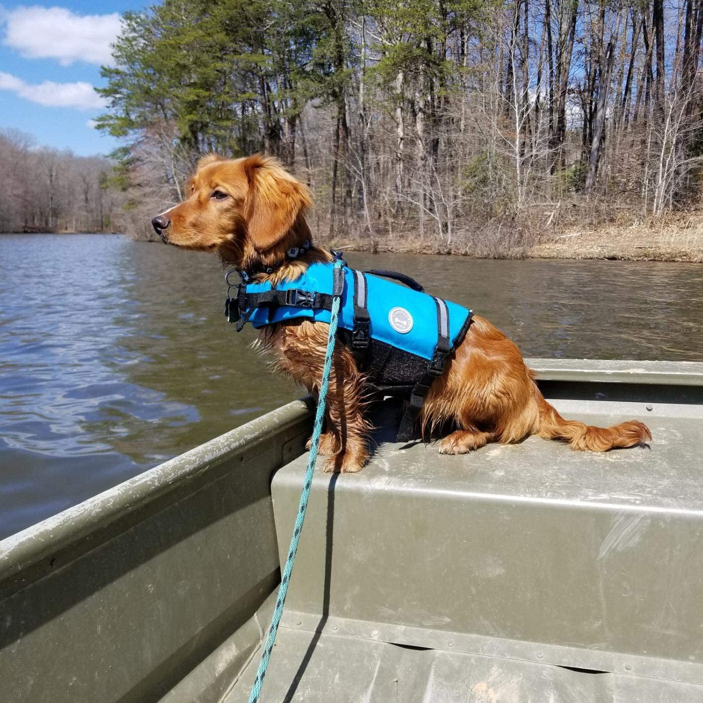 Rip Stop Dog Life Vest, Swimming Vest with Handle, Buoyancy for Doggy Puppy, Dog Life Jacket for Swimming & Boating, S, Blue