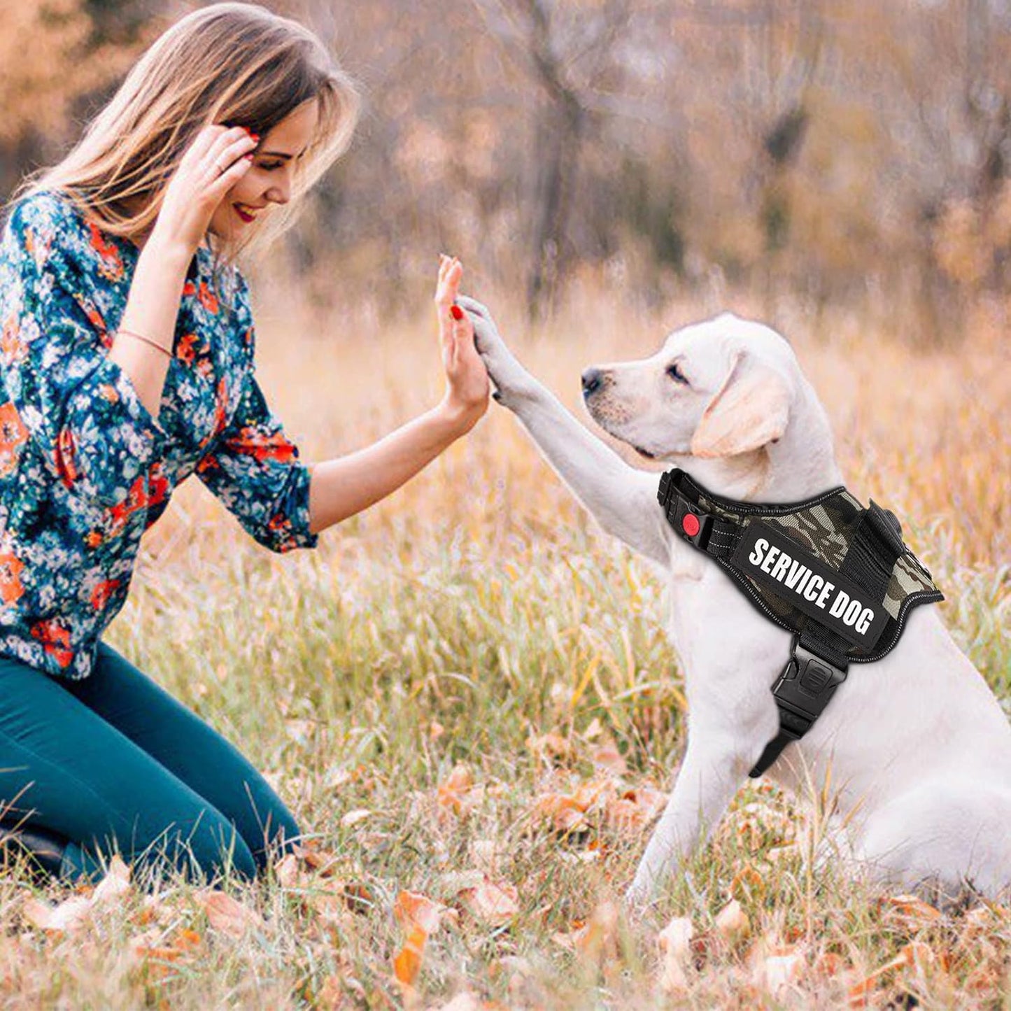 Dog Harness - No-Pull Adjustable Breathable Soft Nylon Vest for Small, Medium, and Large Dogs