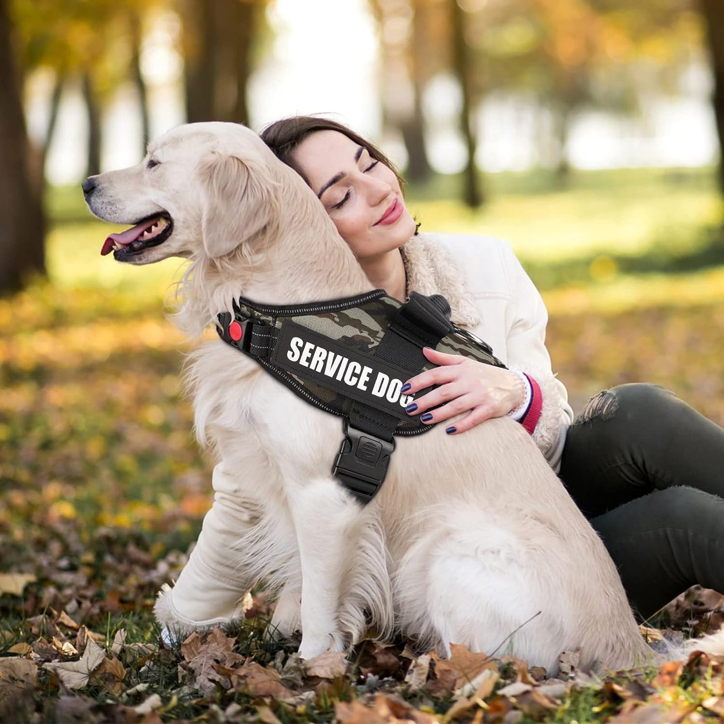 Dog Harness - No-Pull Adjustable Breathable Soft Nylon Vest for Small, Medium, and Large Dogs