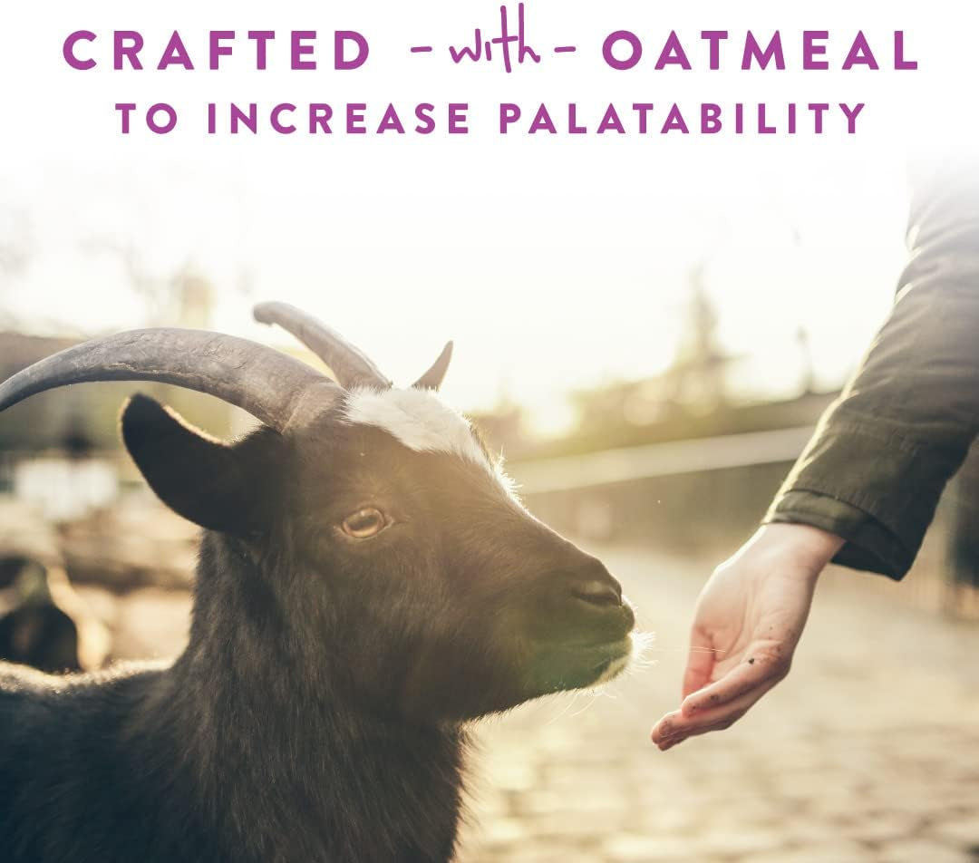 Goat Treats, Licorice Flavor, Nutritious Goat Snacks with Oatmeal, Great Goat Supplements Alternative, Ideal for Goats, Sheep & Small Livestock, 6 Lb