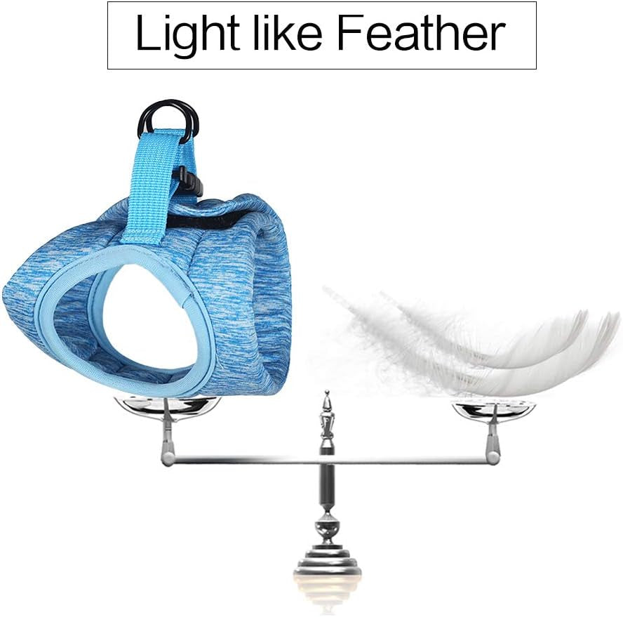 Cat Harness and Leash Set for Walking, Escape Proof Vest Harnesses for Cats, Ultra Light Breathable Soft Jacket (Blue, L (Chest: 13 - 15"))