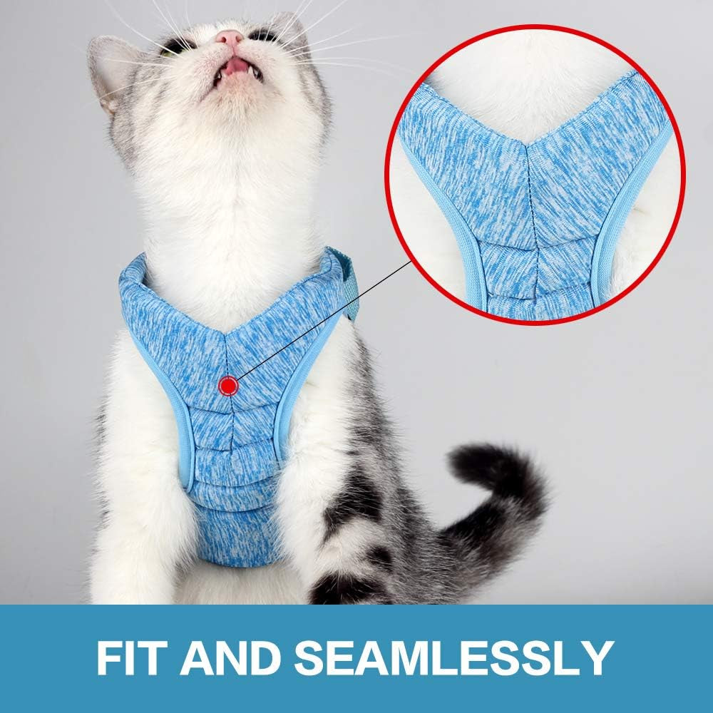 Cat Harness and Leash Set for Walking, Escape Proof Vest Harnesses for Cats, Ultra Light Breathable Soft Jacket (Blue, L (Chest: 13 - 15"))