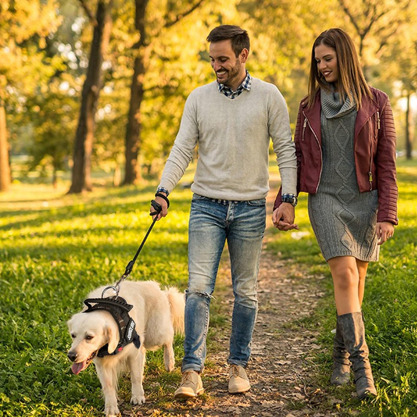 Dog Harness - No-Pull Adjustable Breathable Soft Nylon Vest for Small, Medium, and Large Dogs