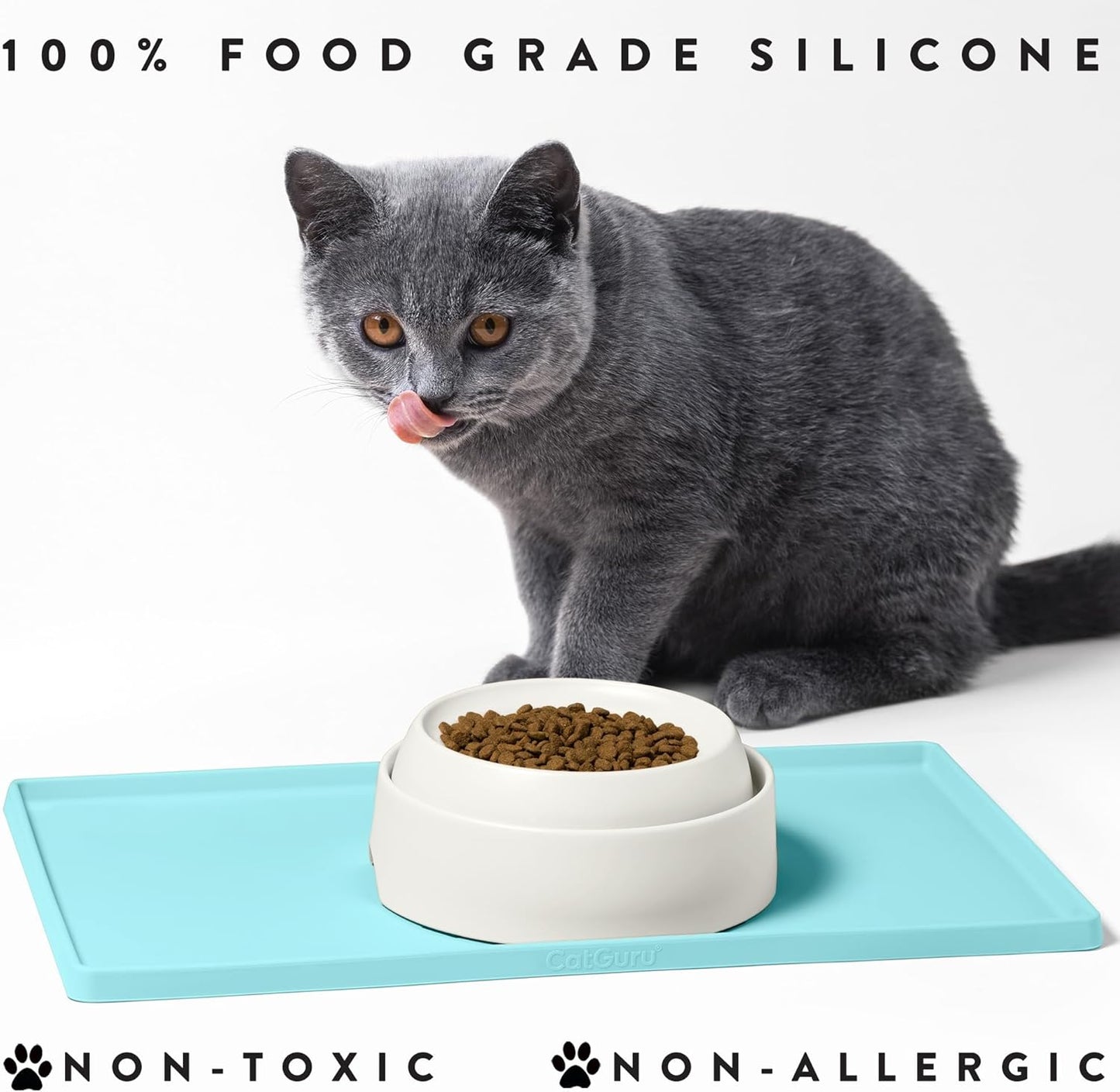 Waterproof Silicone Cat Feeding Mat - Non-Slip Pet Placemat for Food and Water Bowls (Small, Aruba)