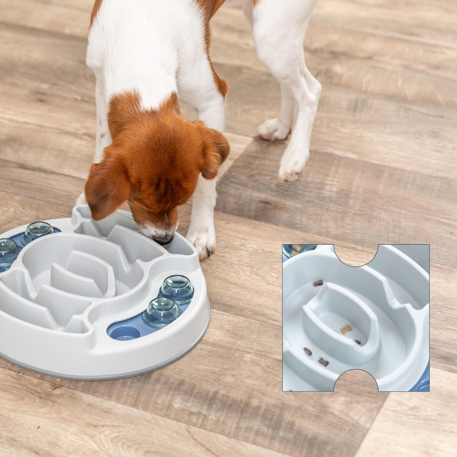 Slide & Feed Dog Activity Interactive Toy, Level 1 Food Puzzle Game, Brain Teasing Treat Dispenser, IQ and Mental Development Toy for Smart Dogs, Enrichment Toy for Boredom Busting