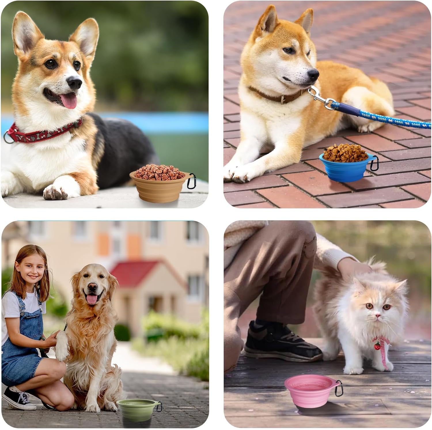 2-Pack Silicone Collapsible Dog Bowls, BPA Free Dishwasher Safe, Portable Foldable Expandable Travel Bowl, Food Water Feeding Cup Dish for Dogs Cats with 2 Carabiners (Purple, Pink) | 20 Oz, Silicone, Foldable Expandable Cat Feeding Cup Dish, 2 Carabiners, BPA Free, Dishwasher Safe (Purple, Pink)