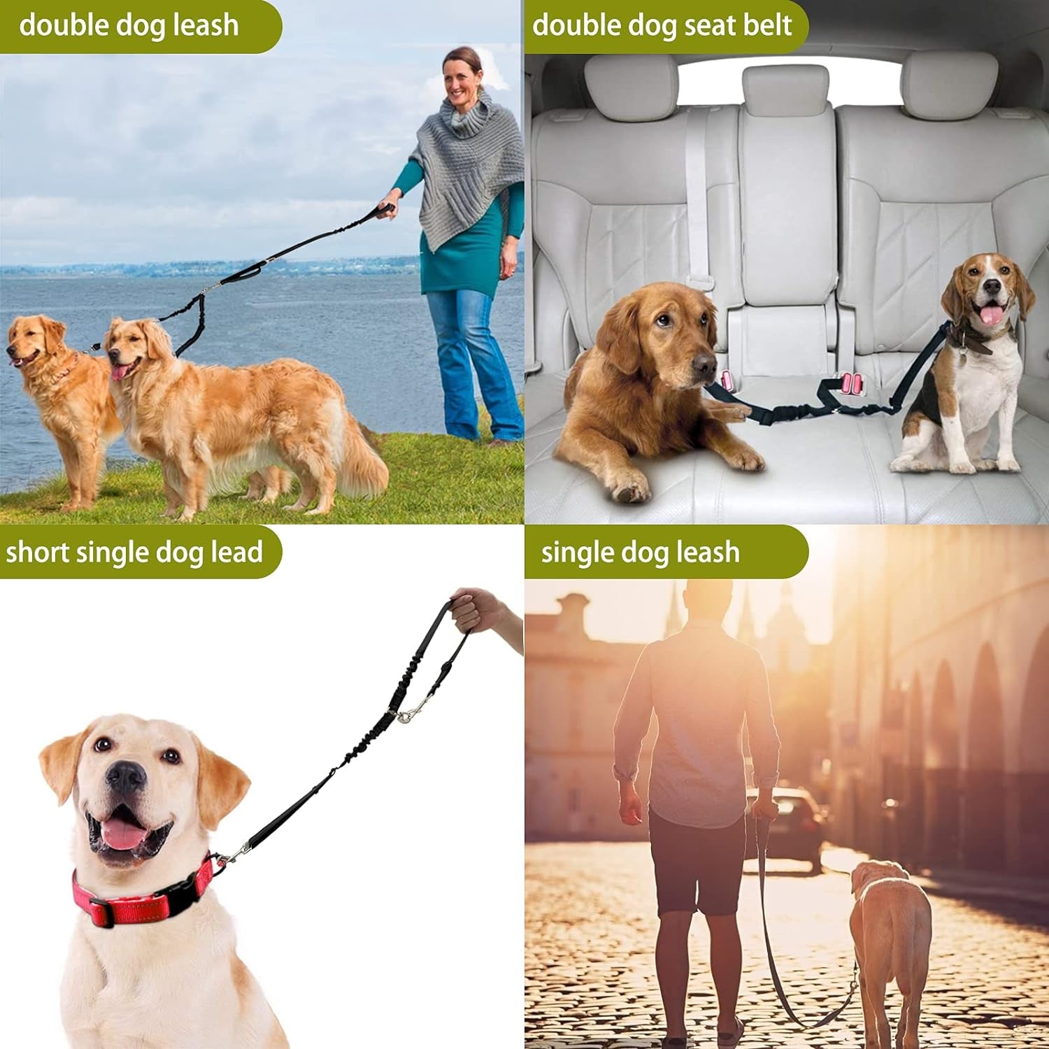 360° No Tangle Double Dog Leash, 2-In-1 Bungee Seatbelt Leash | 360°Tangle Free Coupler, Dual Padded Handles, Shock Bungee Buffer,Adjustable Fits M & L Dogs for Walking & Car Travel