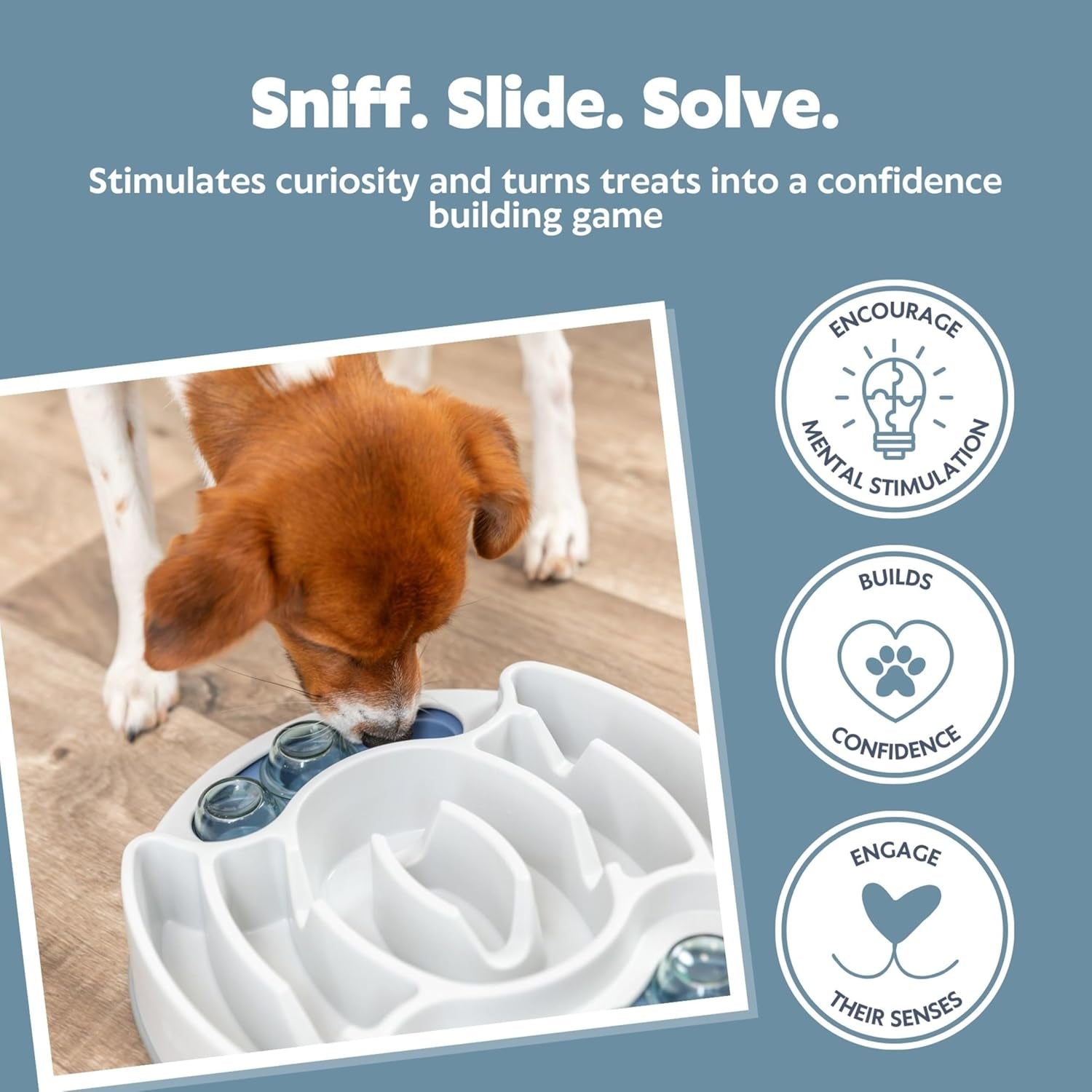 Slide & Feed Dog Activity Interactive Toy, Level 1 Food Puzzle Game, Brain Teasing Treat Dispenser, IQ and Mental Development Toy for Smart Dogs, Enrichment Toy for Boredom Busting